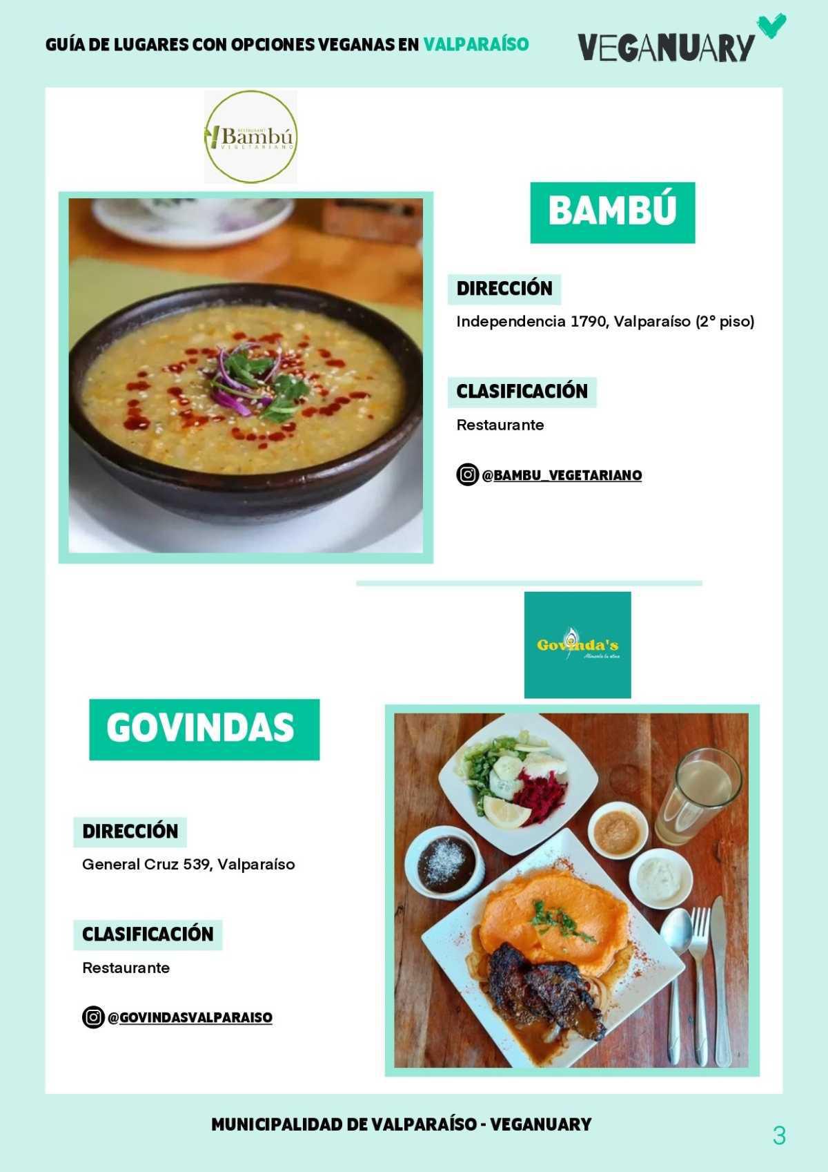 Guía de lugares con opciones veganas en Valparaíso 