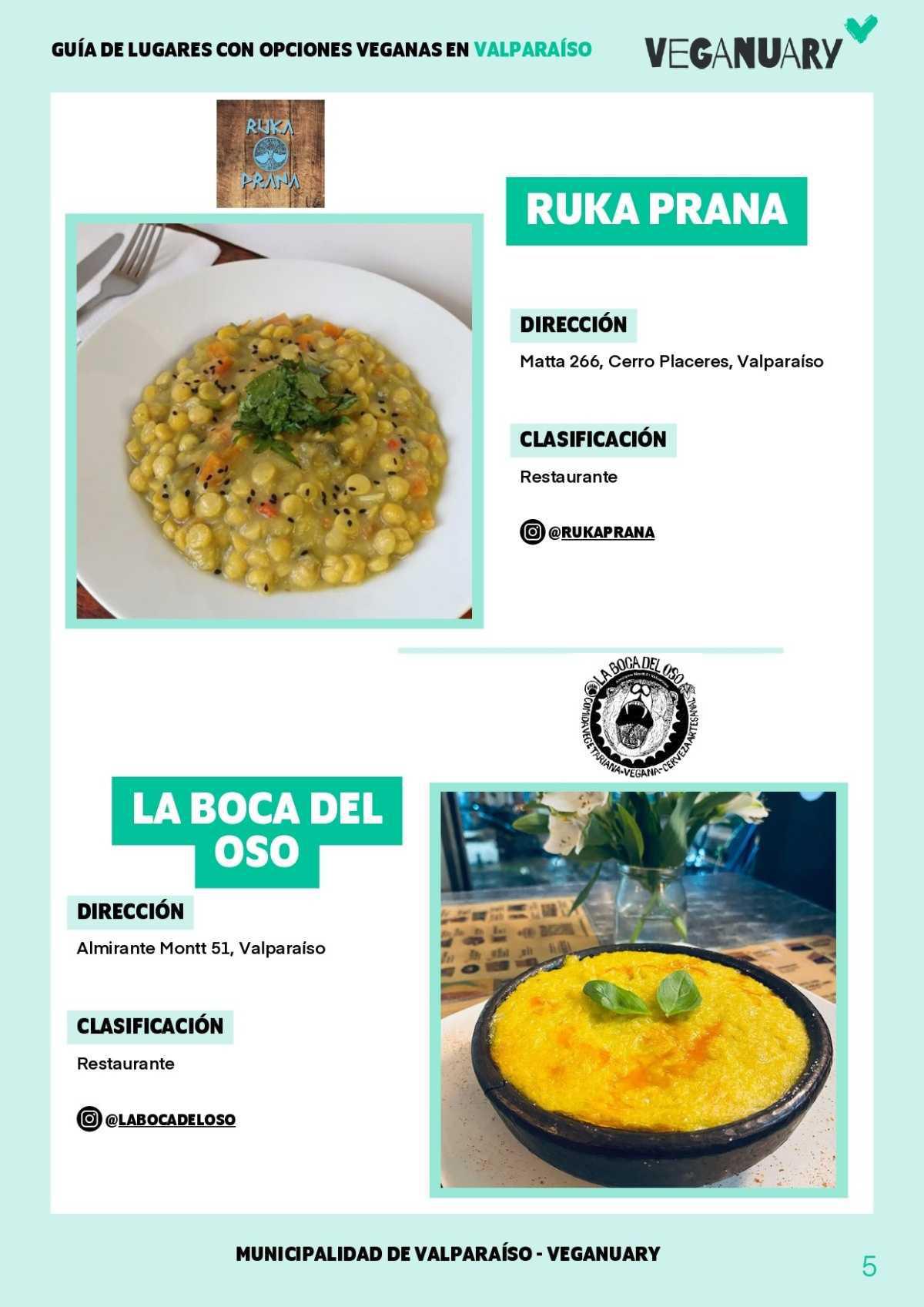 Guía de lugares con opciones veganas en Valparaíso 
