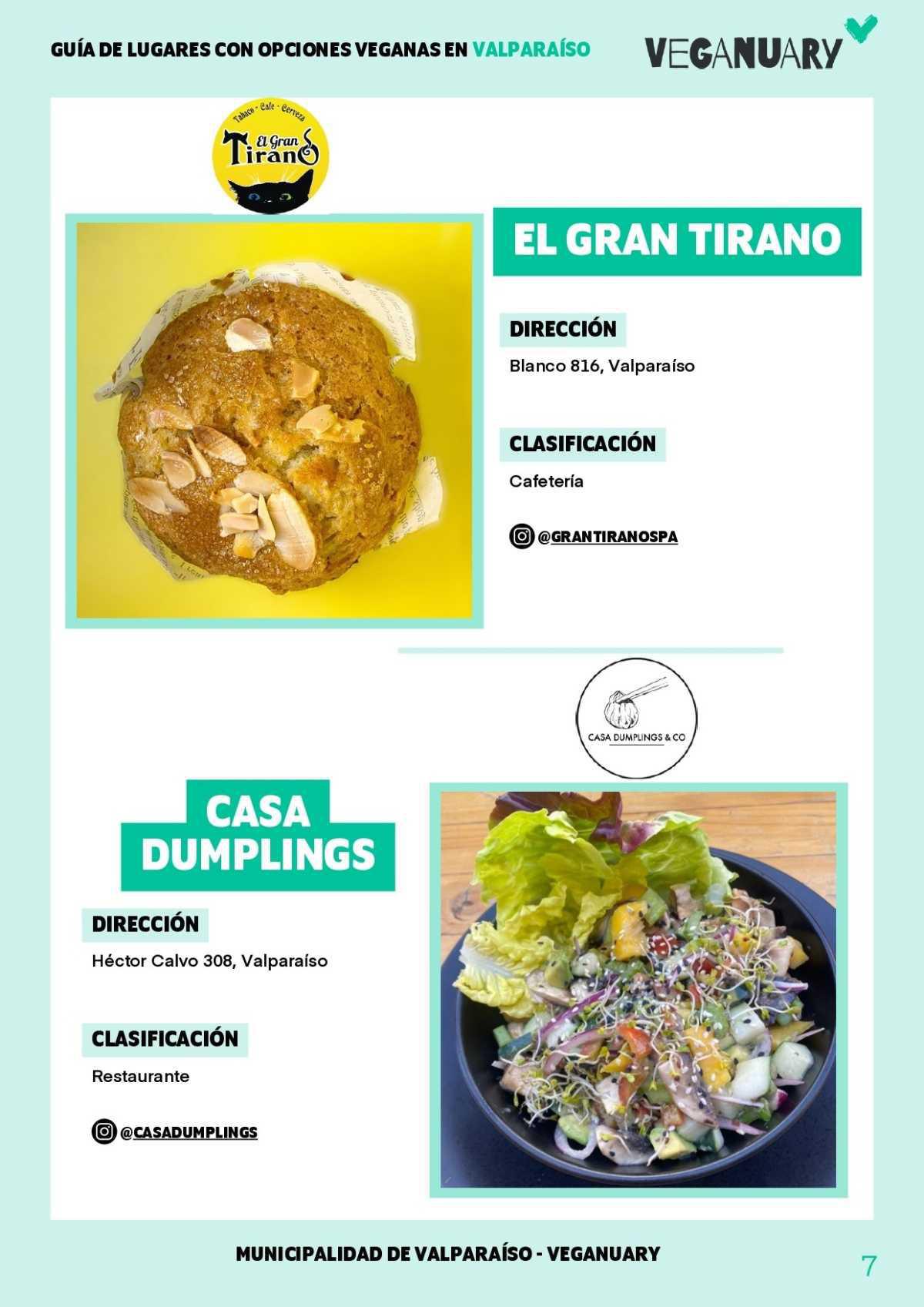 Guía de lugares con opciones veganas en Valparaíso 
