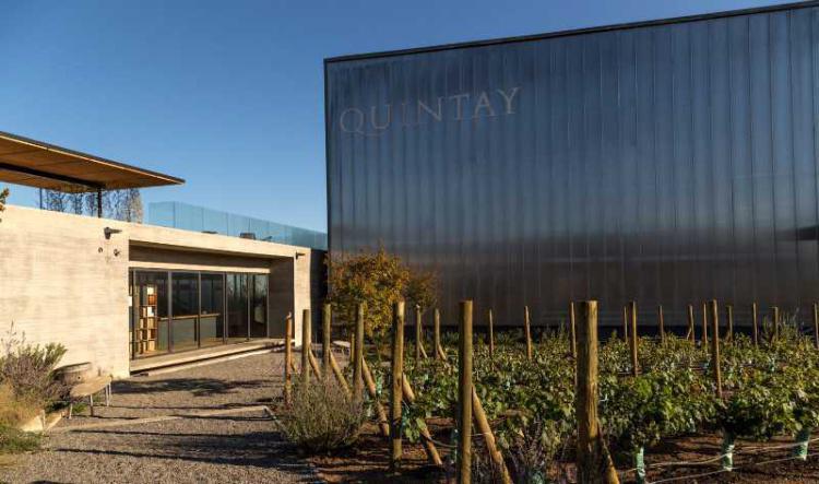 Quintay Vineyard