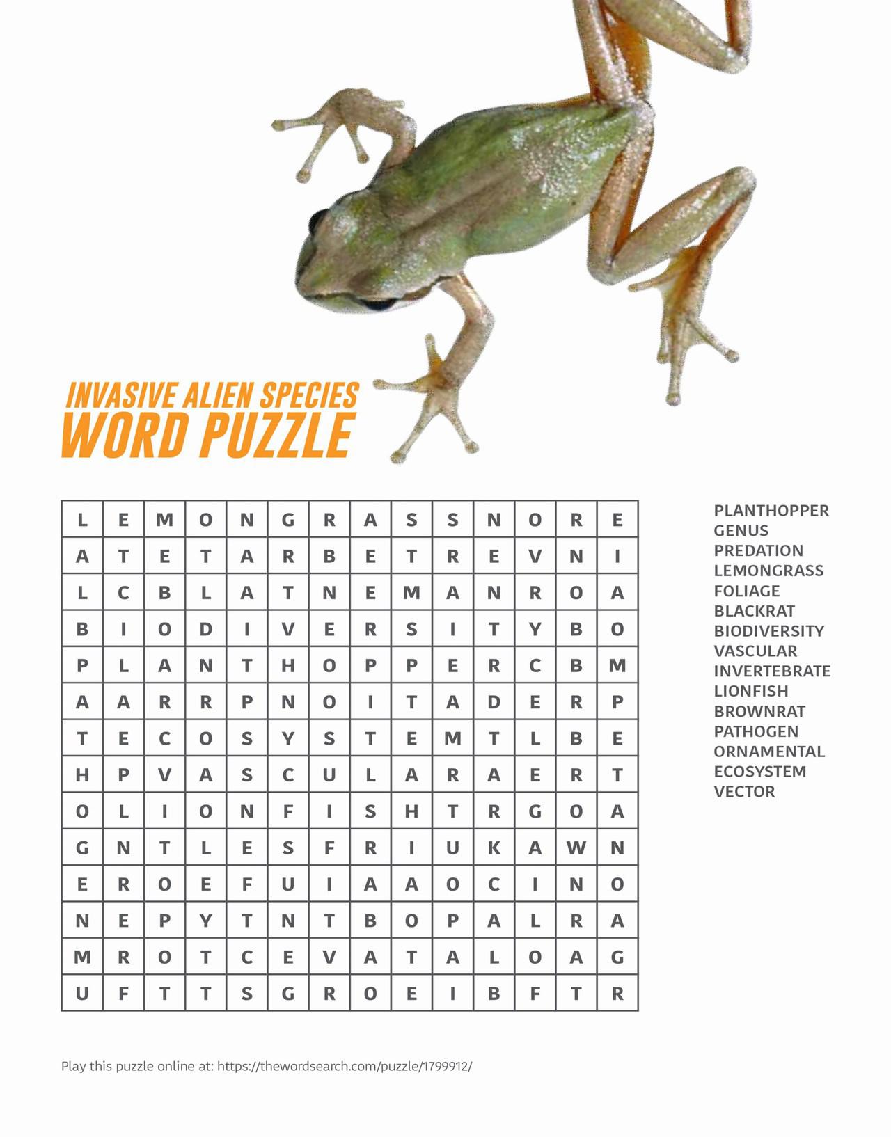 IAS Word Puzzle