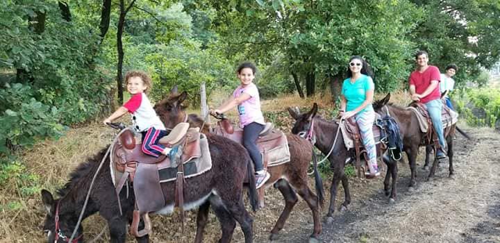 Etna Donkey Trekking