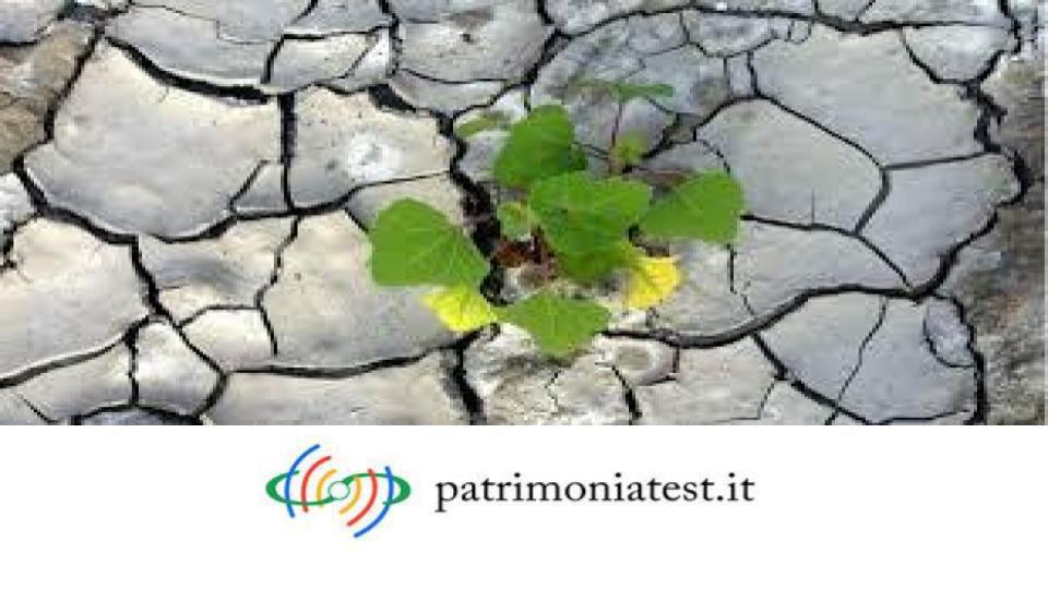 Fiscalità del patto di famiglia: quale il nuovo orientamento della Cassazione? Fiscalità del patto di famiglia: quale il nuovo orientamento della Cassazione?