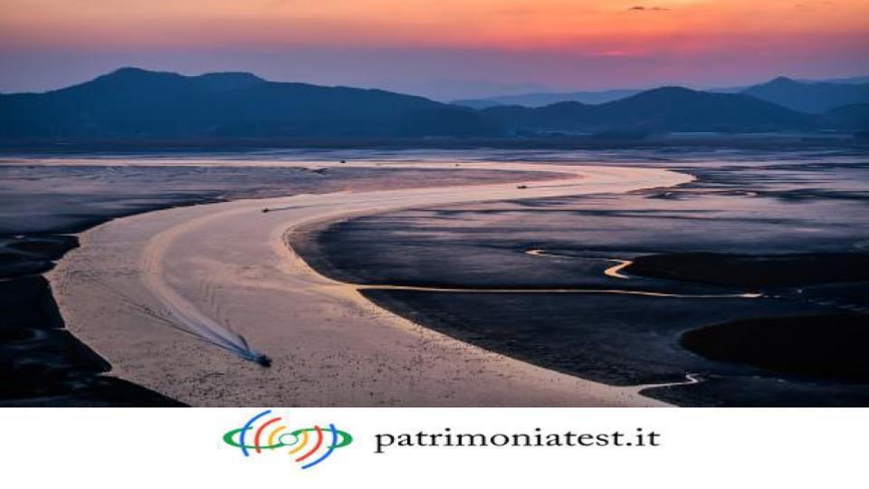 Il conferimento di beni in società unipersonale, è revocabile dai creditori? Il conferimento di beni in società unipersonale, è revocabile dai creditori?