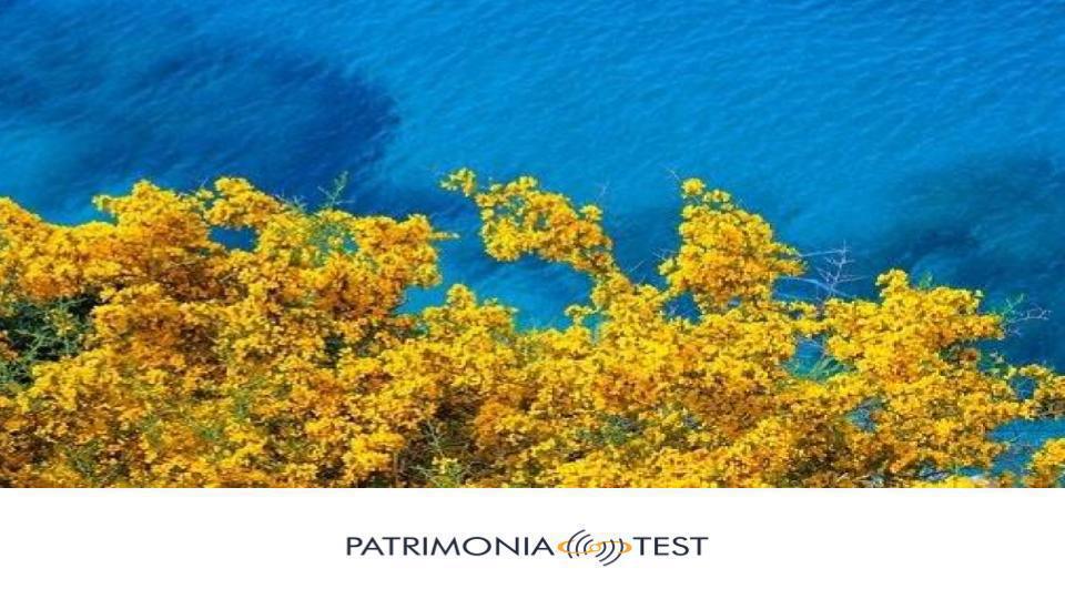 La voluntary disclosure può considerarsi dichiarazione di successione integrativa? La voluntary disclosure può considerarsi dichiarazione di successione integrativa?