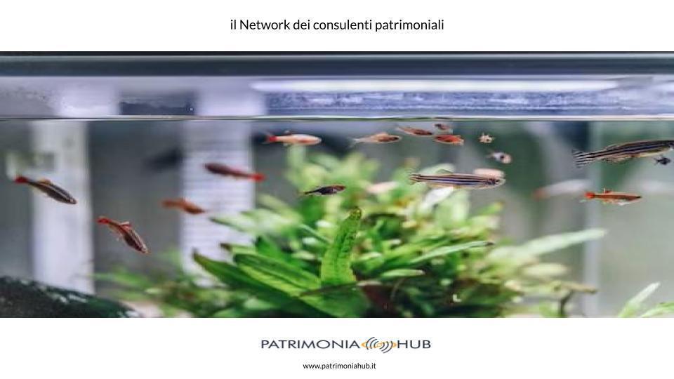 Eredità: quando si ha accettazione tacita? Eredità: quando si ha accettazione tacita?