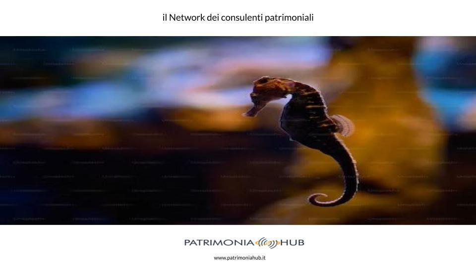 Divisione ereditaria: come sono regolate le migliorie apportate dal coerede? Divisione ereditaria: come sono regolate le migliorie apportate dal coerede?