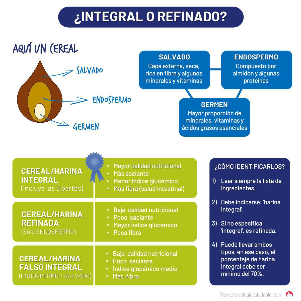 ¿Harina integral o refinada?