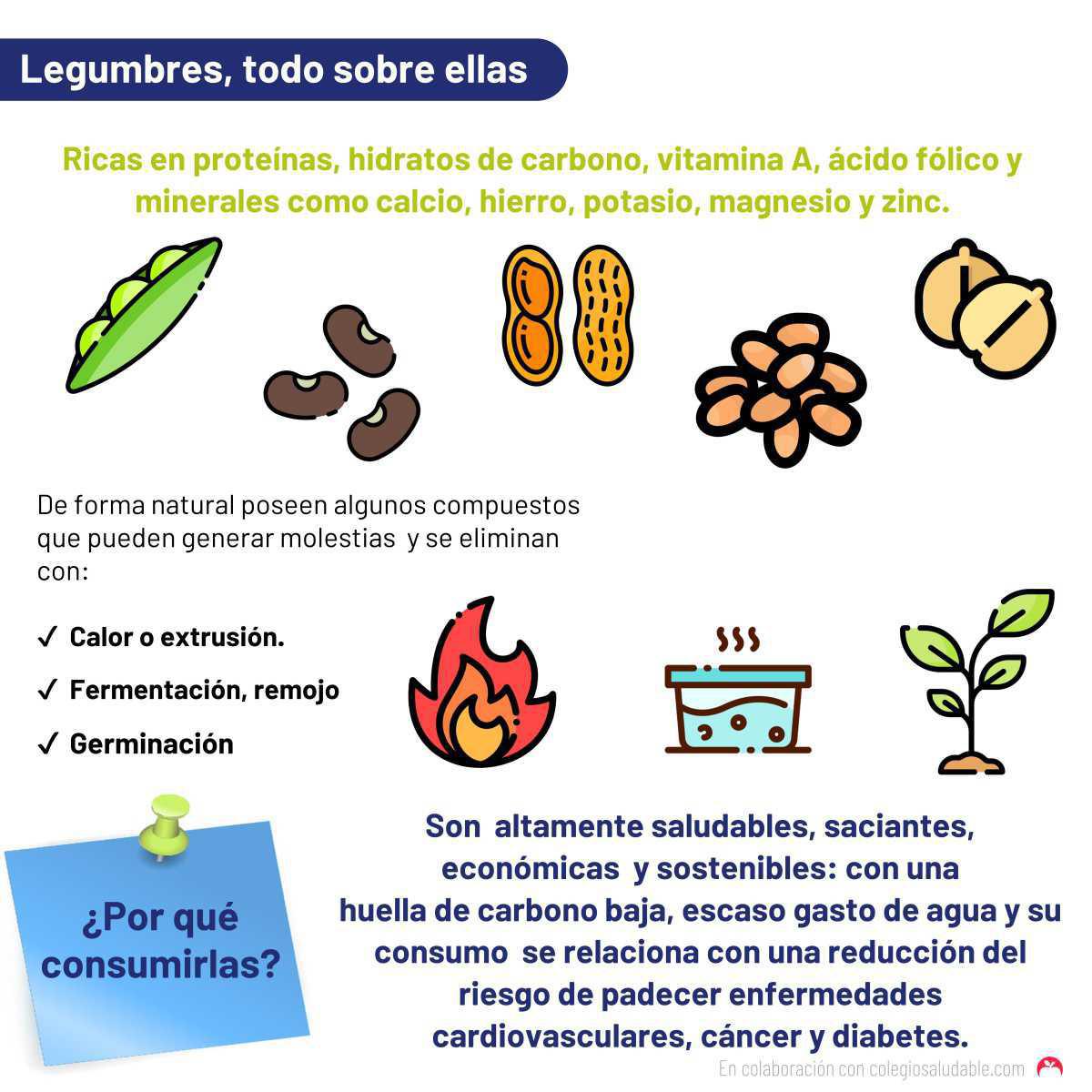 Legumbres: Todo sobre ellas