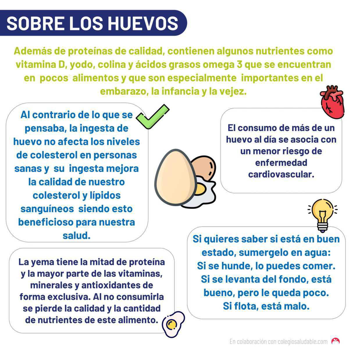 Sobre los huevos