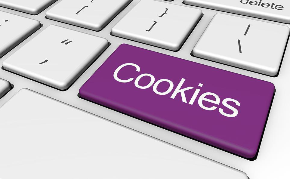 Informativa Cookies