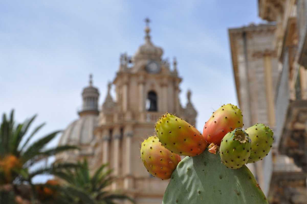 Clinica del mediterraneo 
