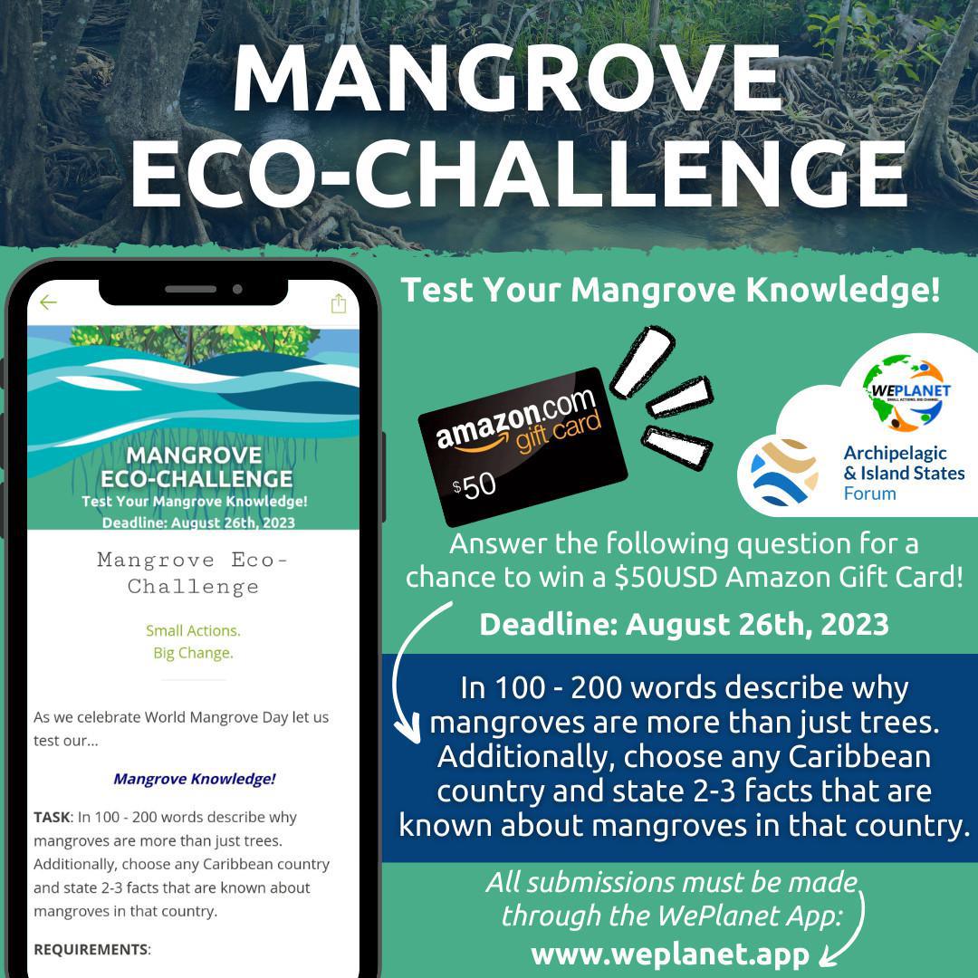 Mangrove Eco-Challenge