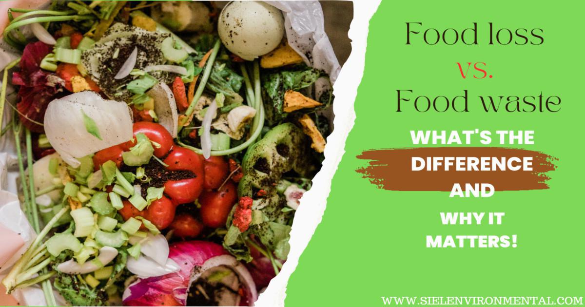 Which one is worse – wasting food or losing food?