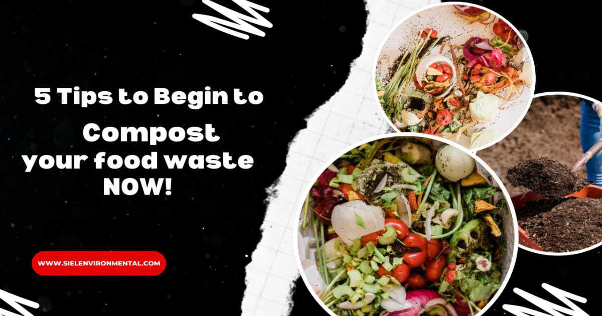 5 tips to begin to compost your food waste NOW