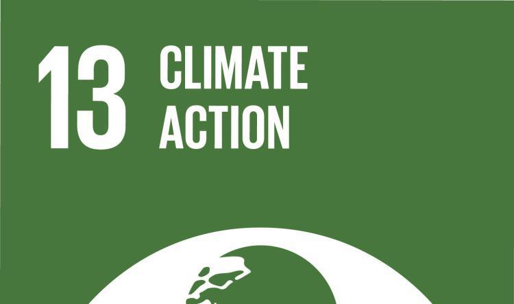 Learn About SDG 13