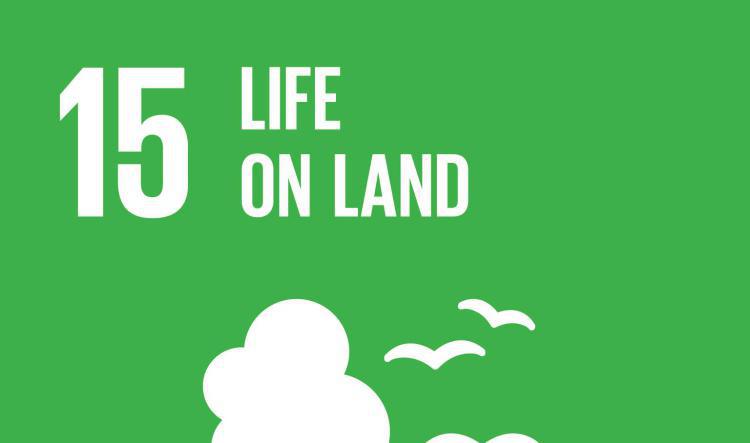 Learn About SDG 15
