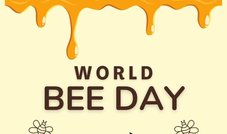 Discover the Buzz: Why Bees Matter