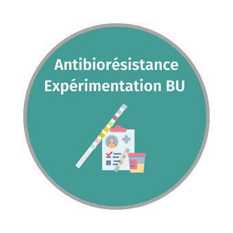 Module de sensibilisation: repérage des infections urinaires communautaires par bandelette urinaire Module de sensibilisation: repérage des infections urinaires communautaires par bandelette urinaire