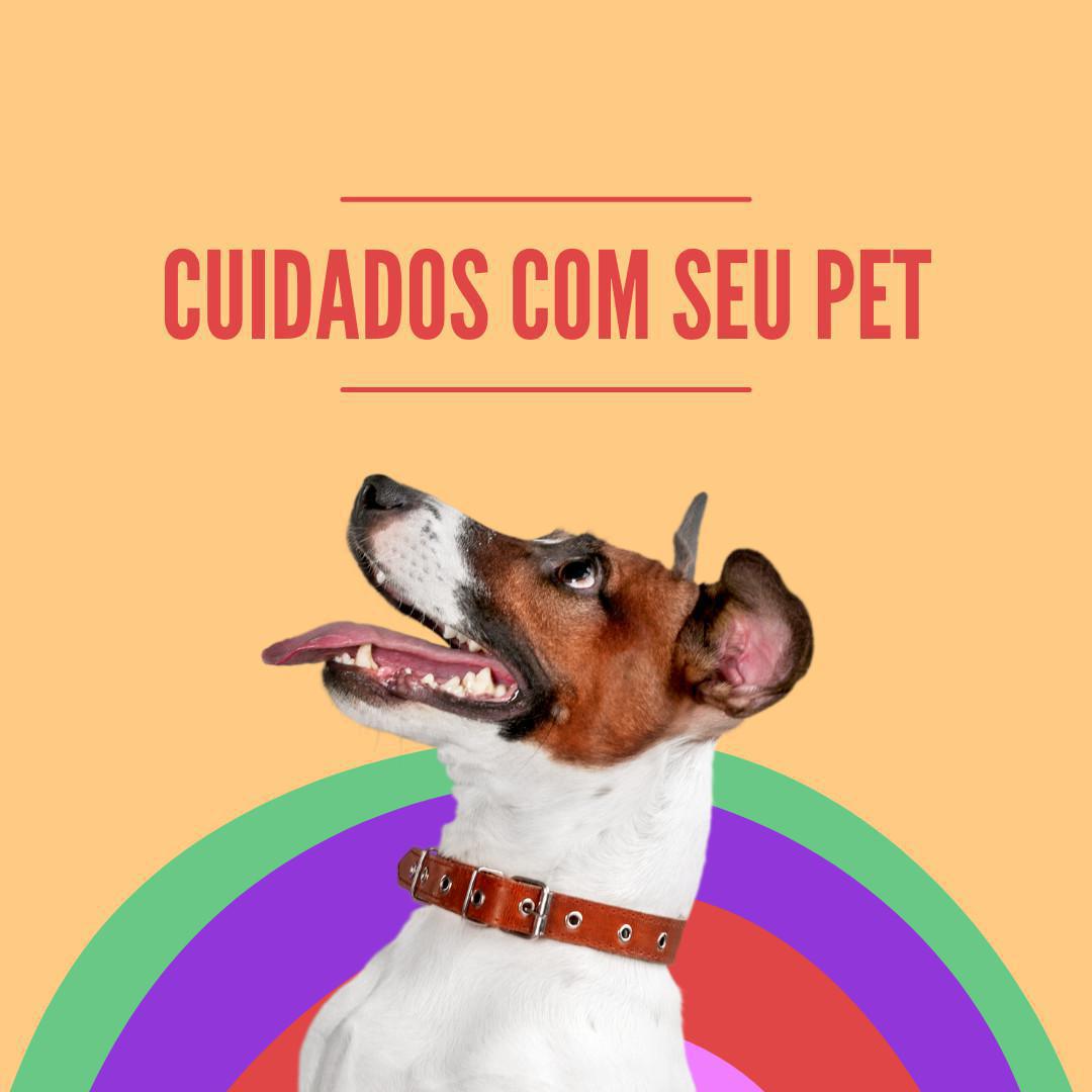 Cuidado com seu Pet e Covid