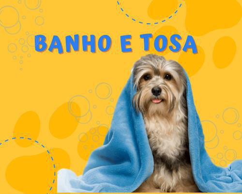 Serviços