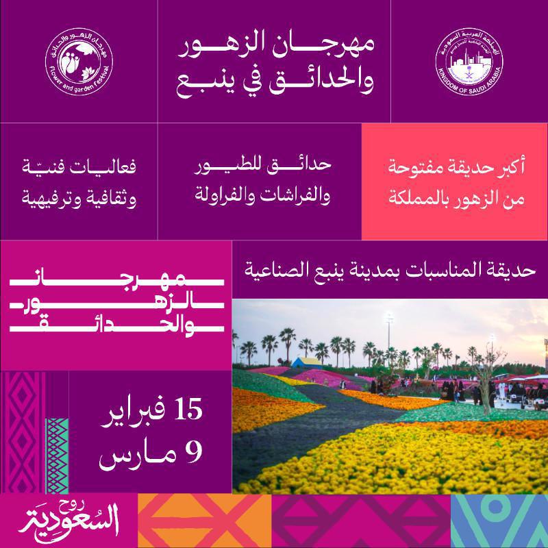 مهرجان الزهور والحدائق 🌼🌸 في ينبع مهرجان الزهور والحدائق 🌼🌸 في ينبع