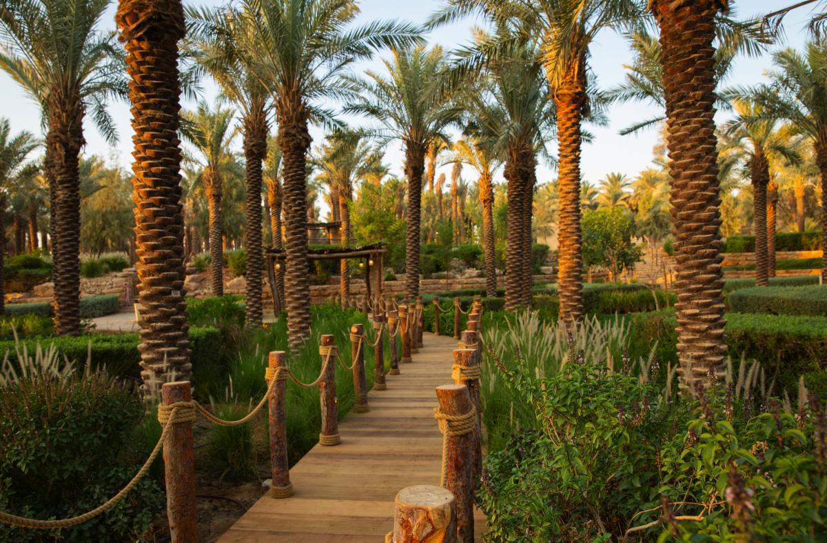 منطقة الطوالع منطقة الطوالع