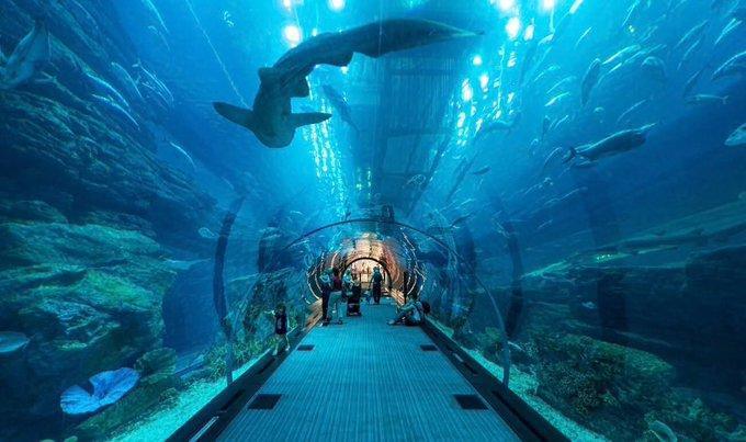 إعلانات كبرى لمدينة جدة 🇸🇦 إعلانات كبرى لمدينة جدة 🇸🇦