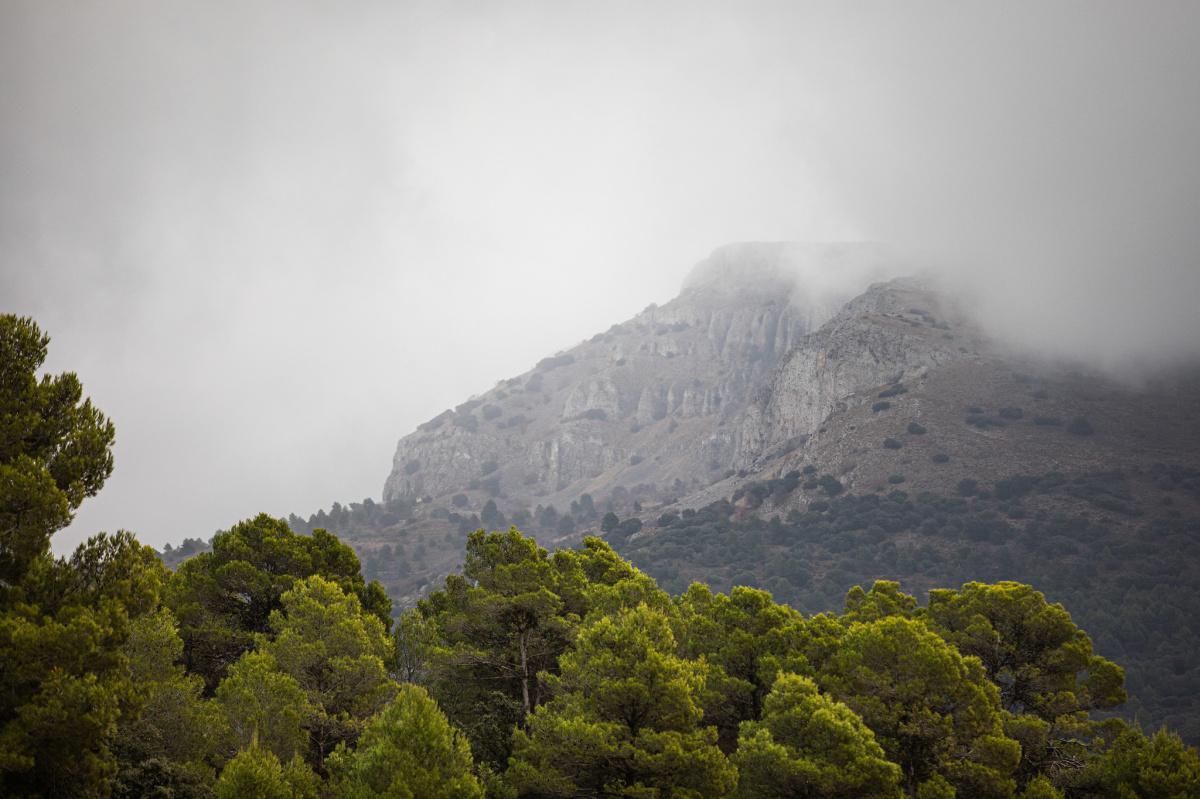 Los Históricos serán los protagonistas hoy en el 26 Rallye La Nucía-Mediterráneo ‘Trofeo Costa Blanca’ Los Históricos serán los protagonistas hoy en el 26 Rallye La Nucía-Mediterráneo ‘Trofeo Costa Blanca’