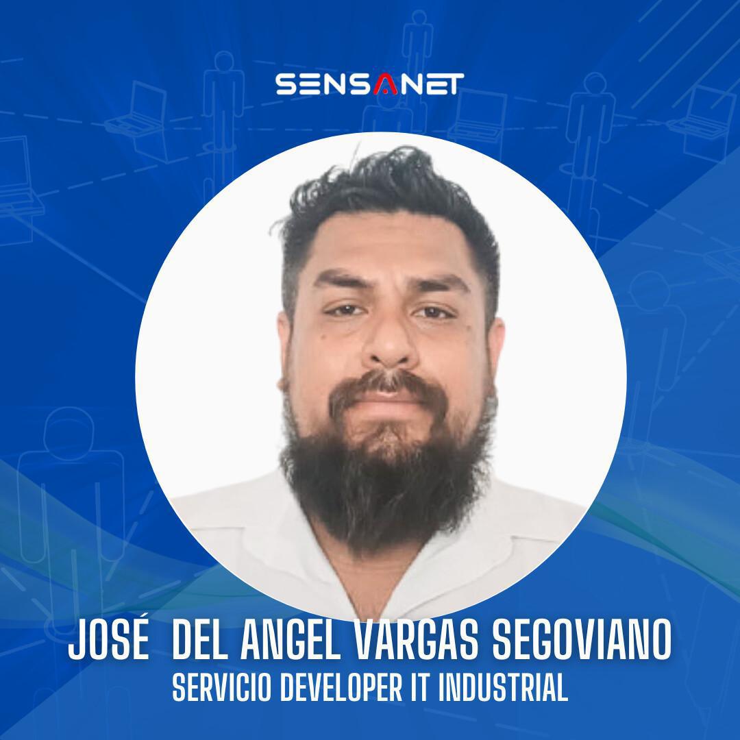 José del Ángel Vargas Segoviano