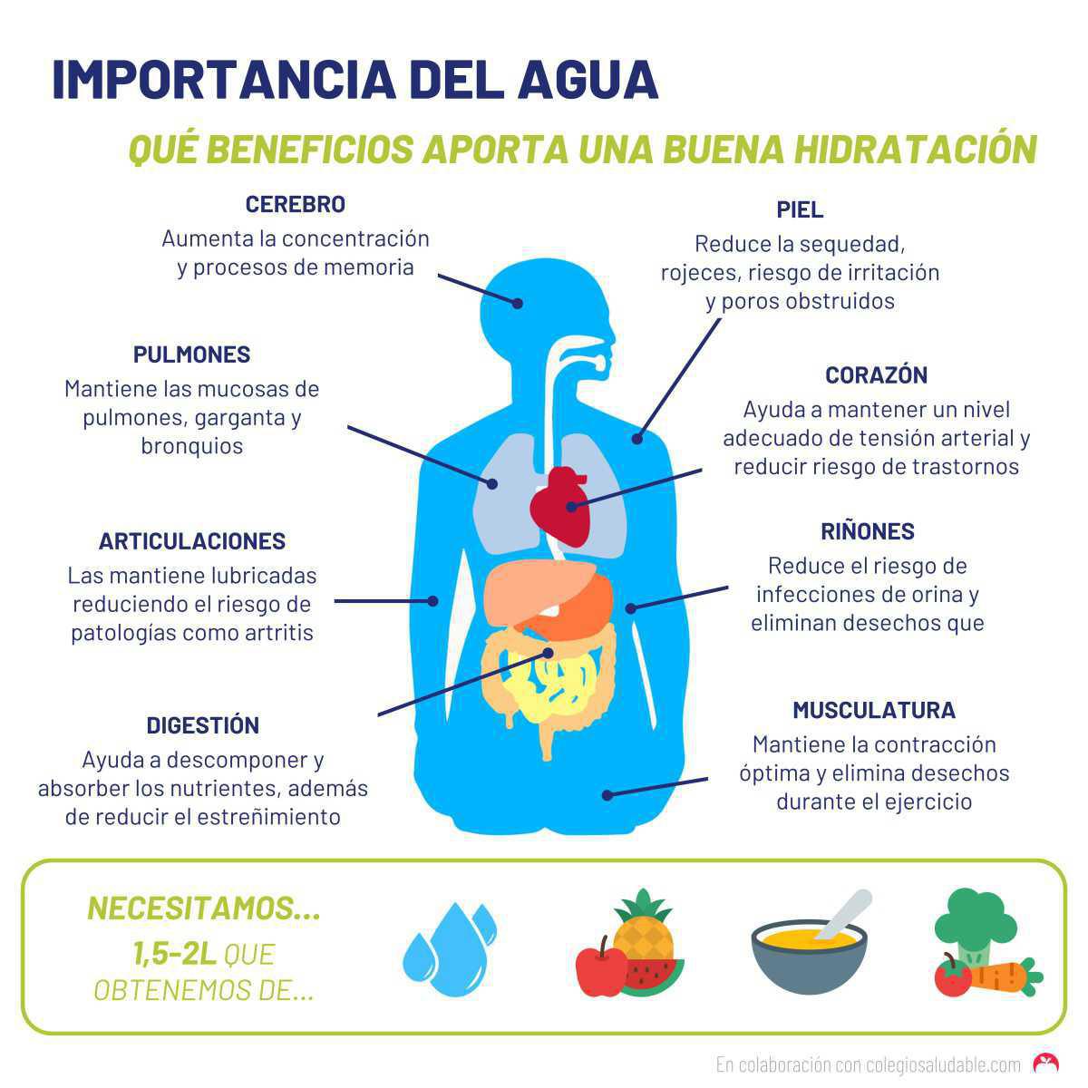 La importancia del agua