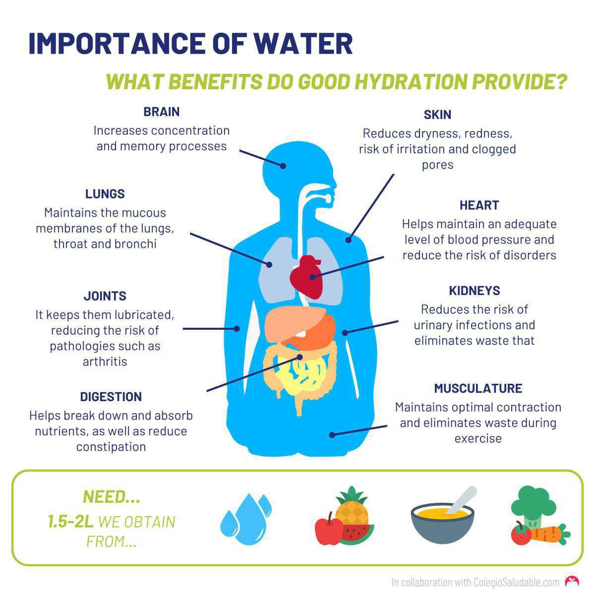 La importancia del agua