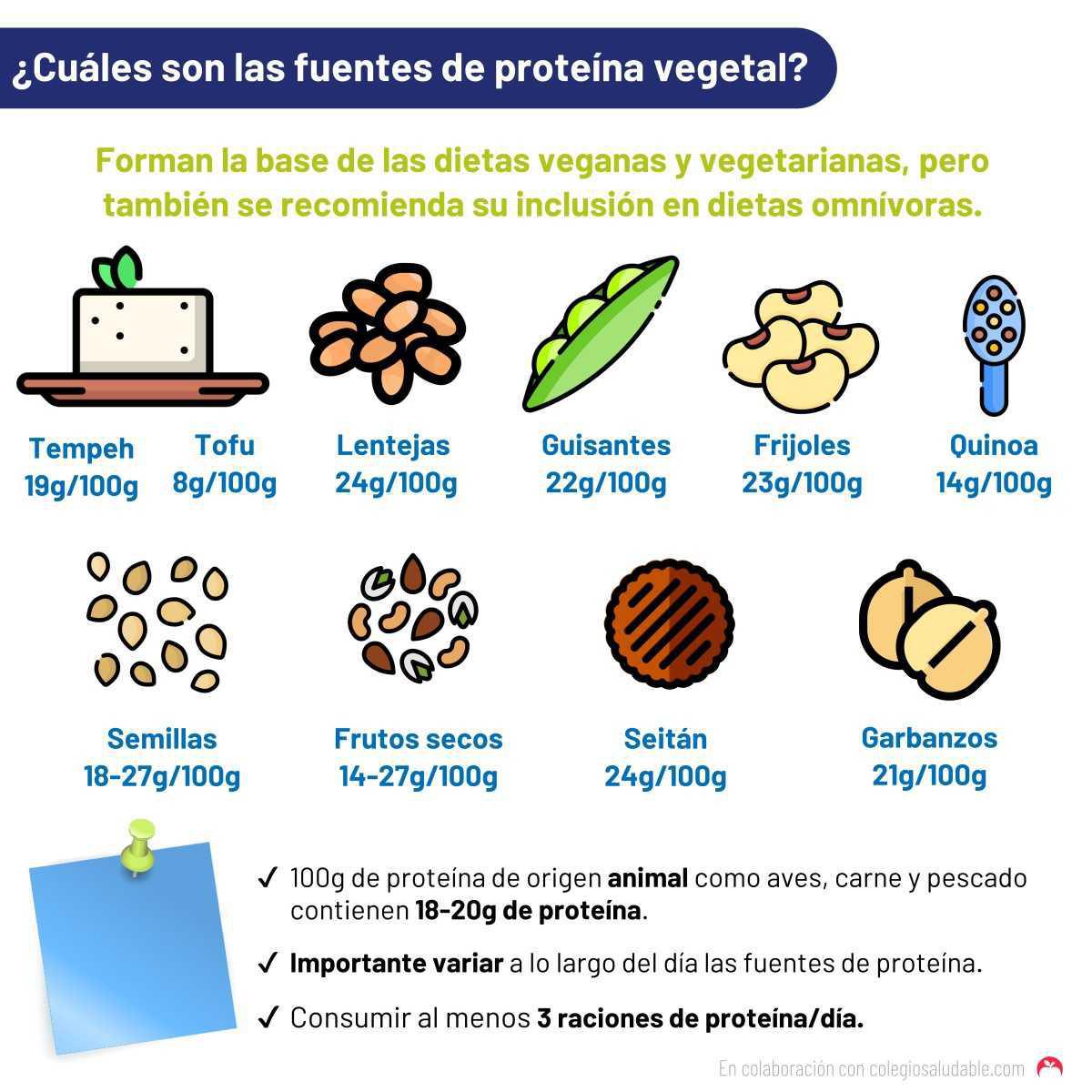 ¿Cuáles son las fuentes de proteína vegetal?