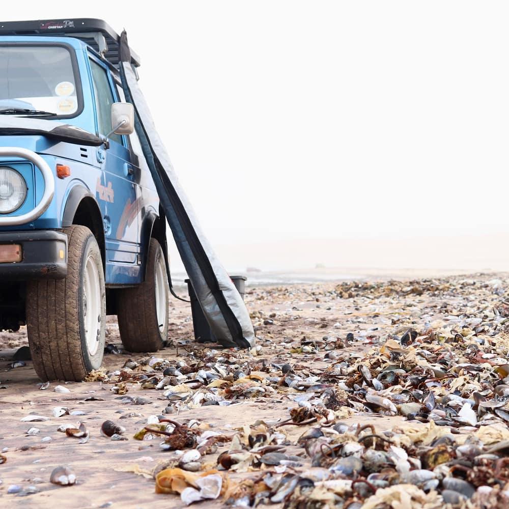 Salty Jackal Backpackers & Surf Camp Salty Jackal Backpackers & Surf Camp