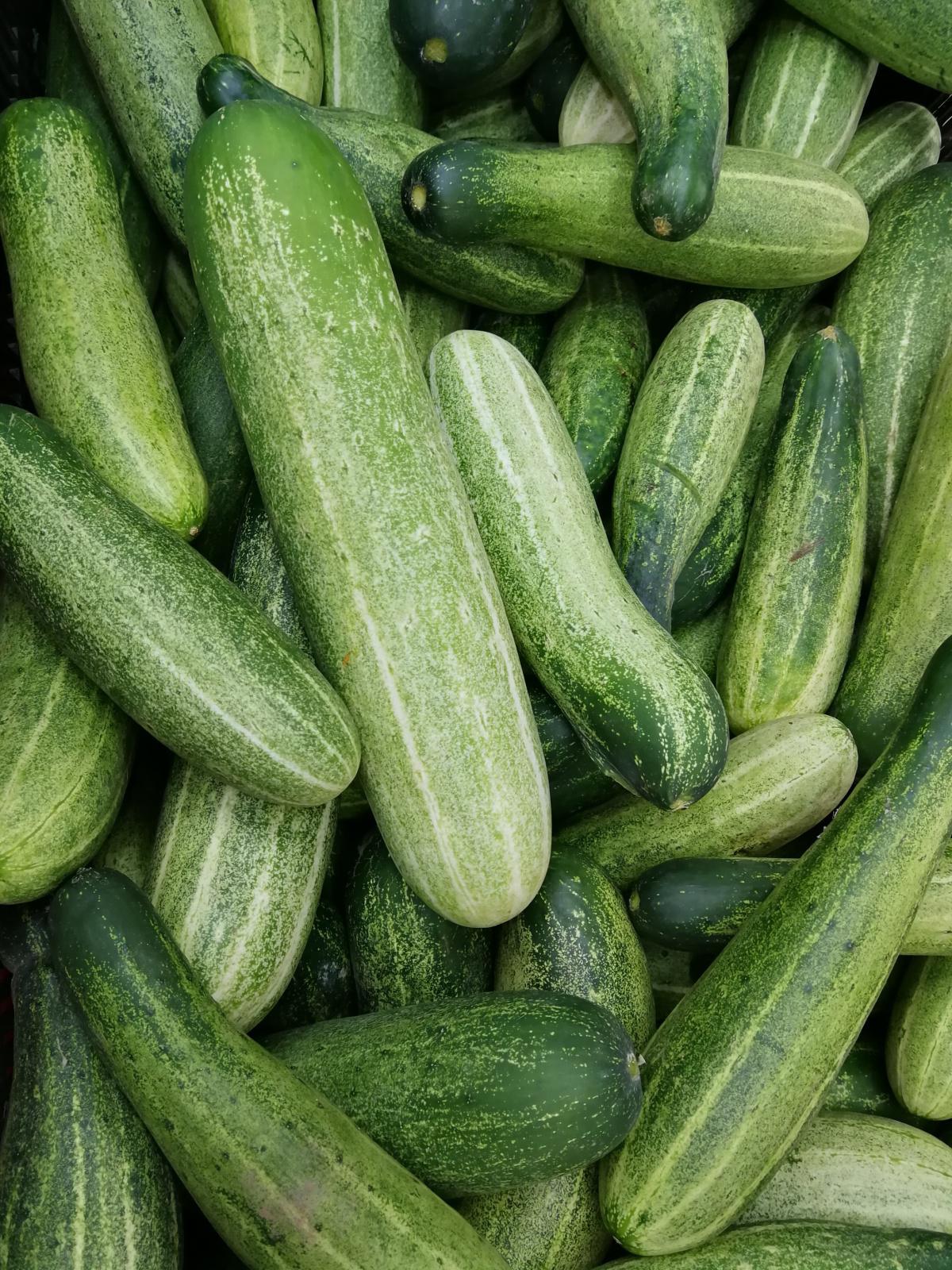 My Favorite Fresh Veggie Picks