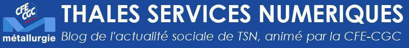 CFE-CGC Thales Services Numériques