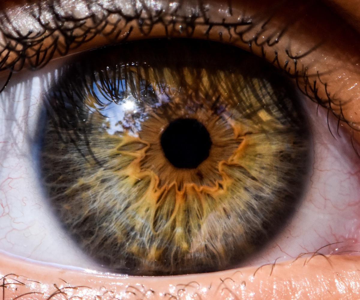 Naturopathe Sophrologue Naturopathe Sophrologue