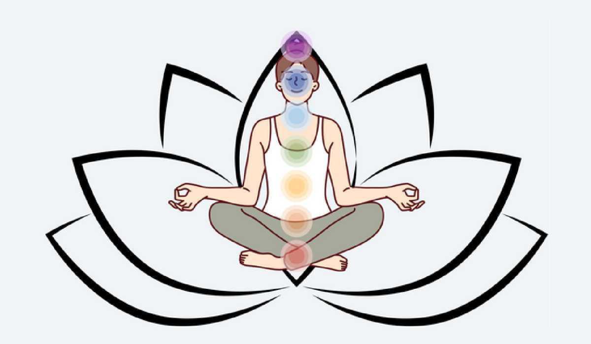 Créations Serpentine Créations Serpentine