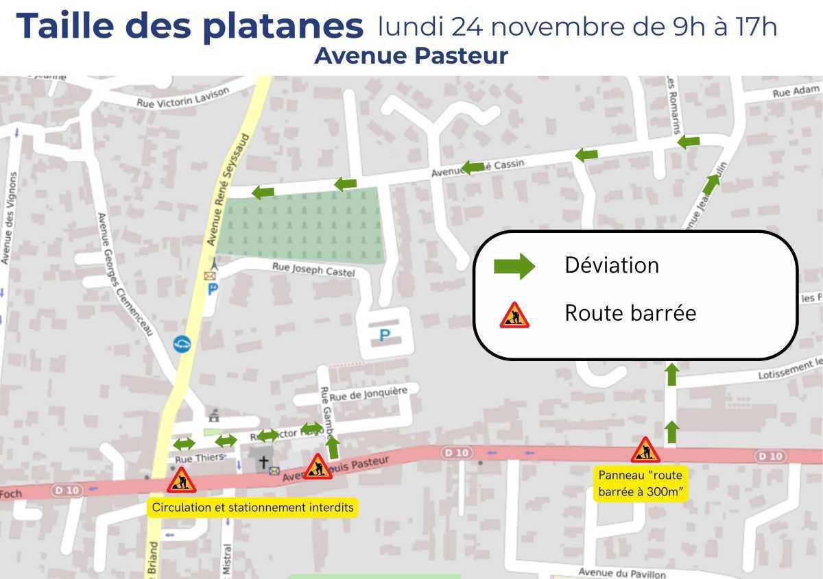 Travaux - taille de platanes, avenue Pasteur et boulevard Joliot Curie