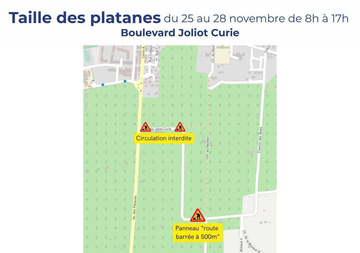 Travaux - taille de platanes, avenue Pasteur et boulevard Joliot Curie