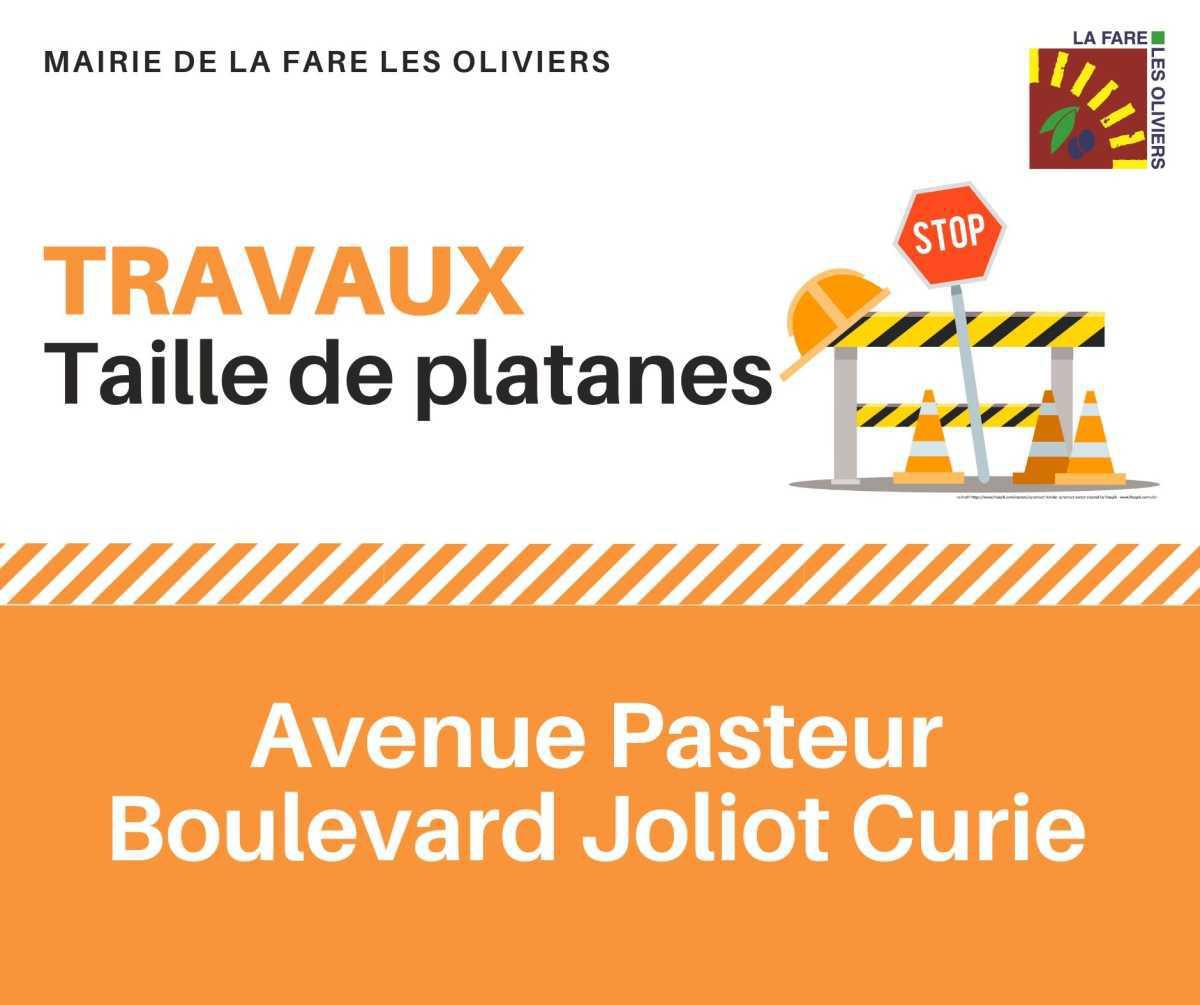 Travaux - taille de platanes, avenue Pasteur et boulevard Joliot Curie