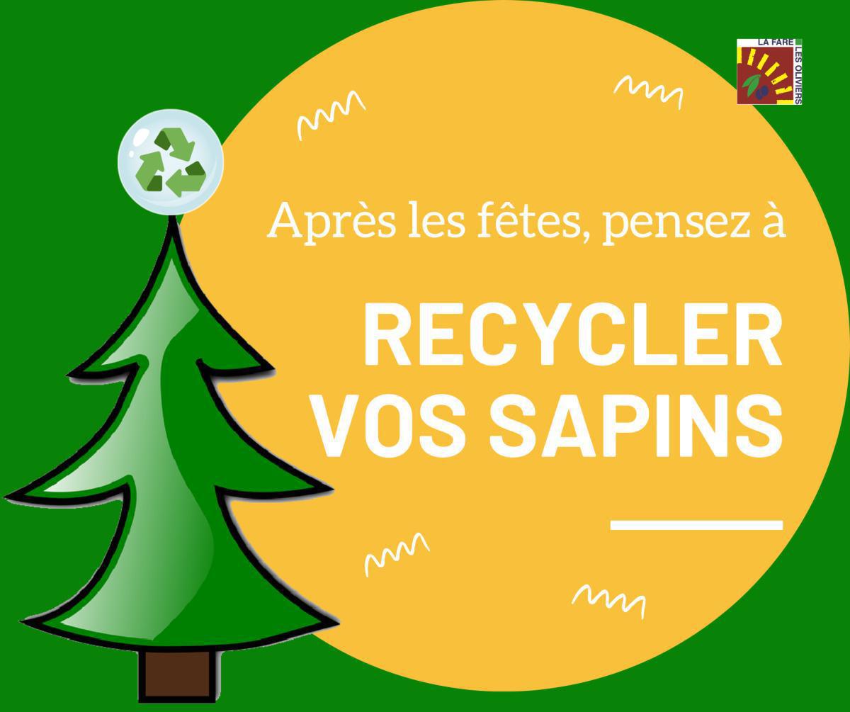 Après les fêtes, pensez à recycler vos sapins !