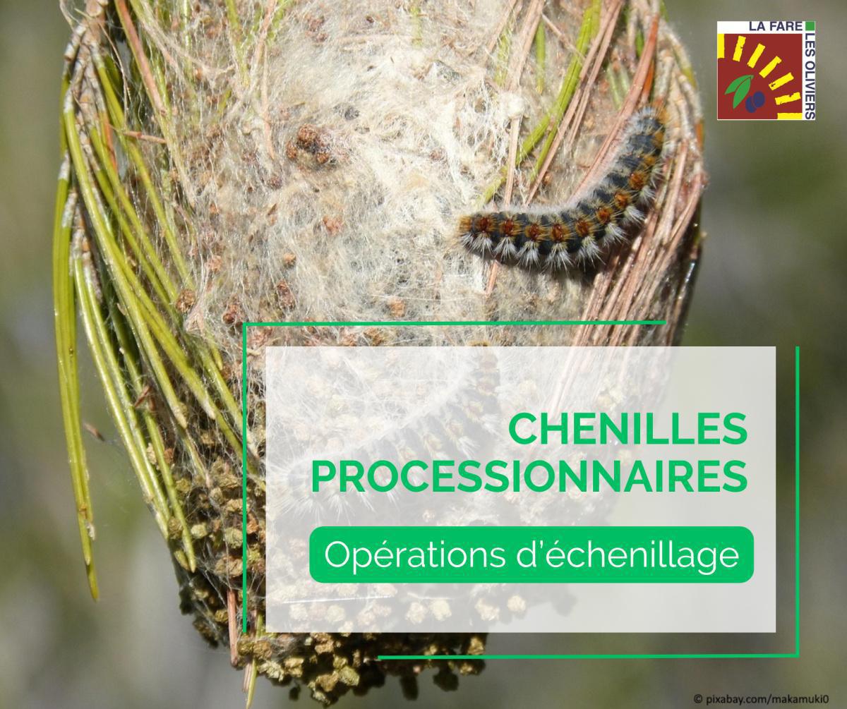 Lutte contre les chenilles processionnaires