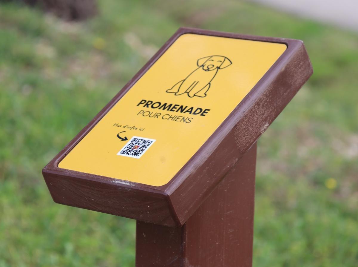 De nouveaux aménagements pour mieux profiter de la colline