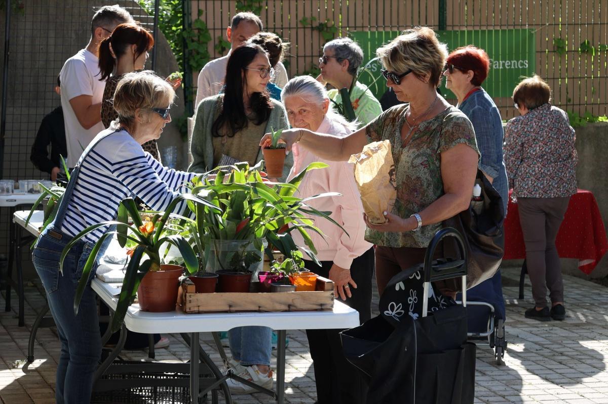 Le troc aux plantes sous le soleil de printemps