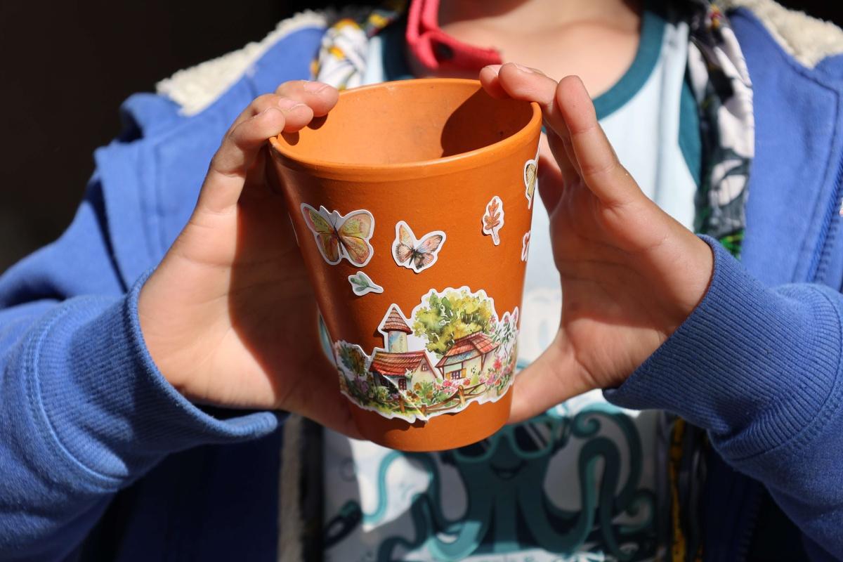 Le troc aux plantes sous le soleil de printemps