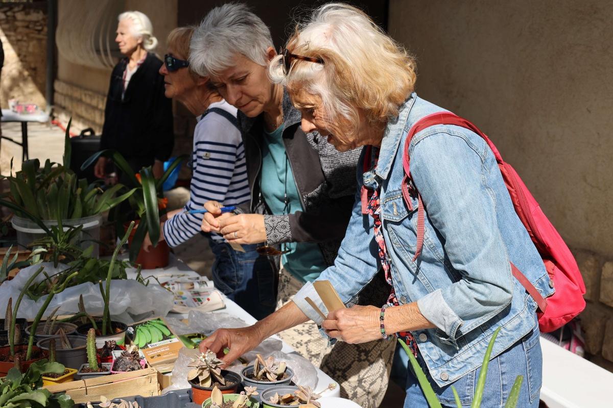 Le troc aux plantes sous le soleil de printemps