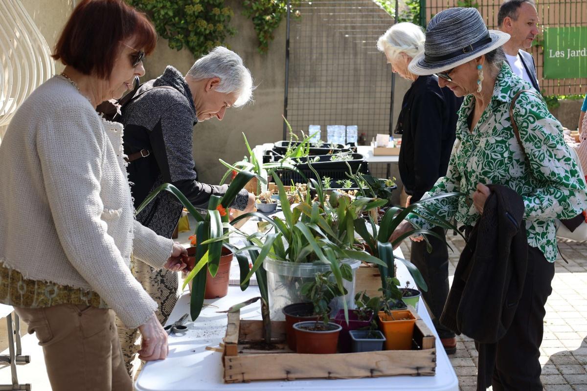Le troc aux plantes sous le soleil de printemps