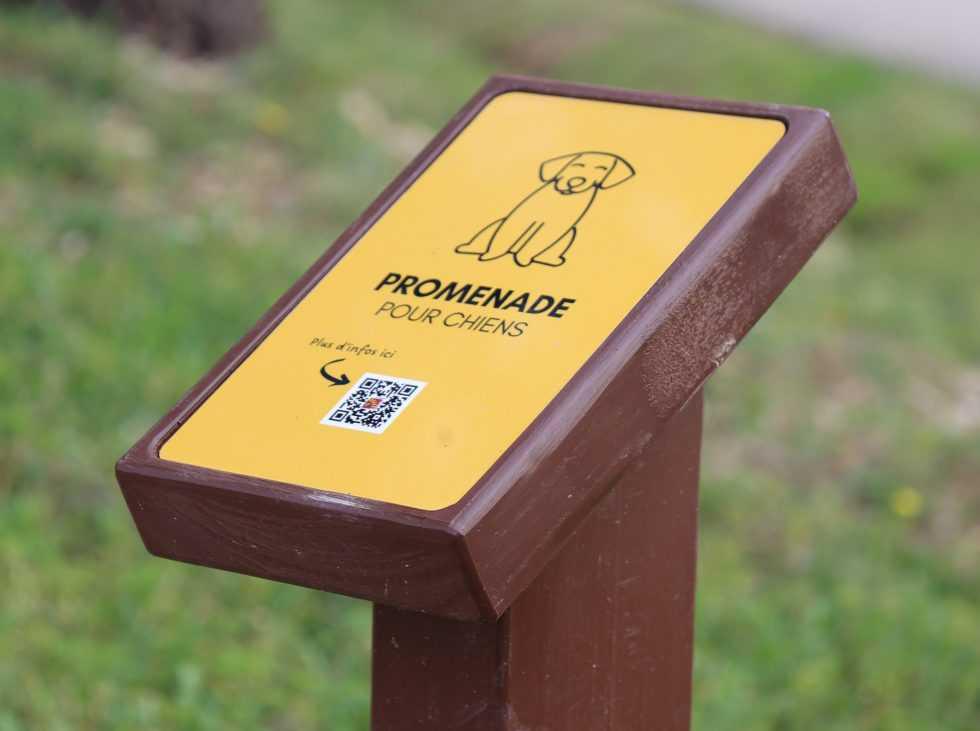 Chiens en colline : du 15 avril au 30 juin, gardez-les attachés !