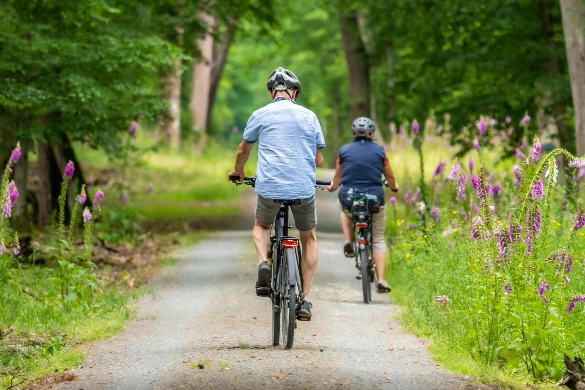 Balade à vélo